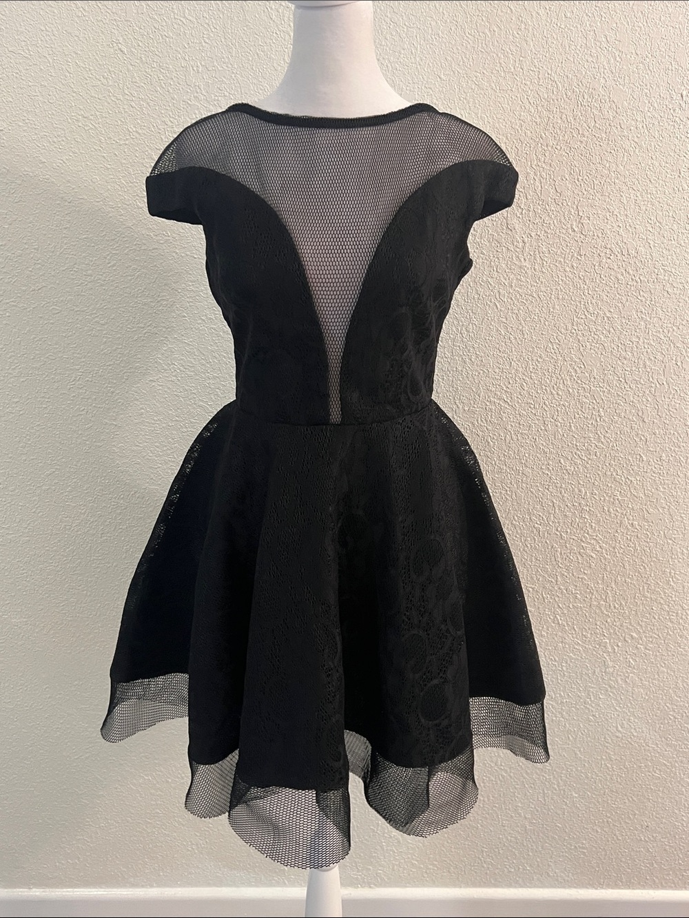Black Mesh and Lace Fit-and-Flare Mini Dress
